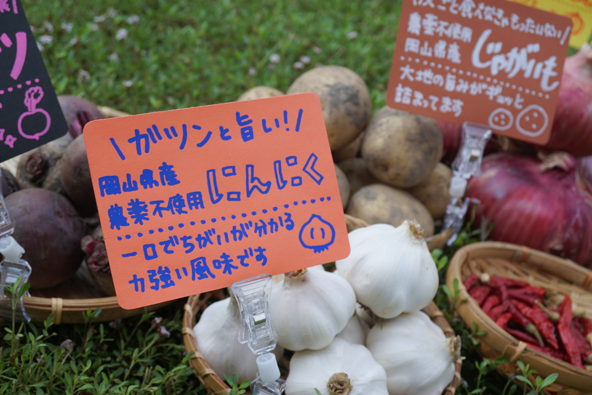 手書きで書かれたにんにくのPOP
